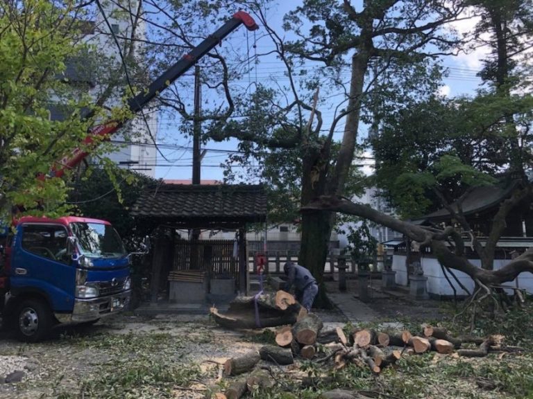 有限会社　大八木建材